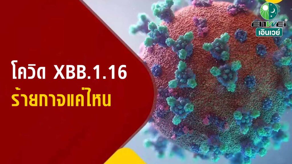โควิด XBB.1.16 ร้ายกาจแค่ไหน