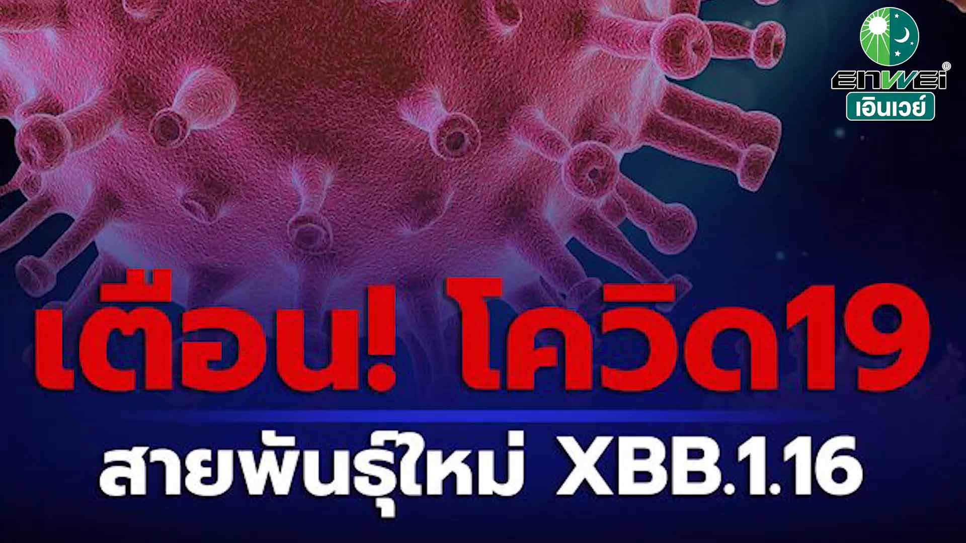 เตือน! โควิด-19 สายพันธุ์ใหม่ XBB.1.16 พร้อมอัพเดทสถานการณ์ล่าสุด