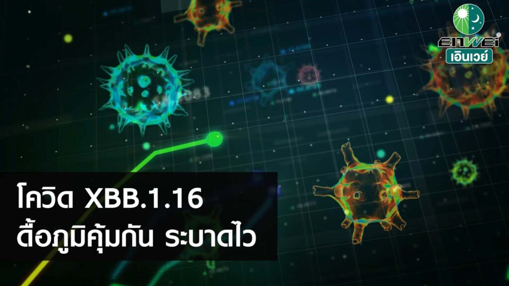 โควิดสายพันธุ์ใหม่ปี 2023 XBB.1.16 ดื้อภูมิคุ้มกัน ระบาดไว